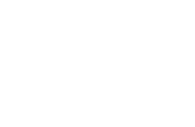 Fenster Flashings logo